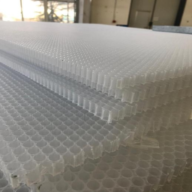 PP Honeycomb Core
